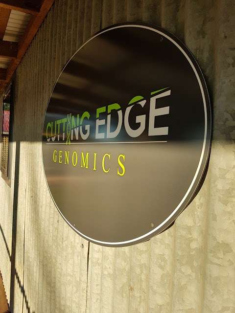 Photo: Cutting Edge Genomics Laboratory